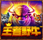 王者野牛
